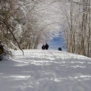 Snowfall This Weekend