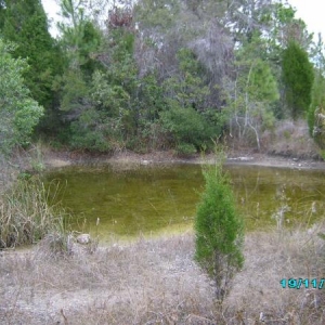 Another pond along the path