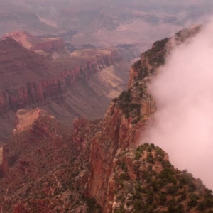 Fog at Cape Royal 2009