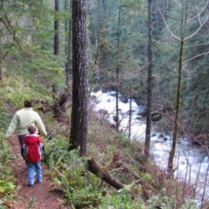 Falls View Canyon Trail #868 (20)