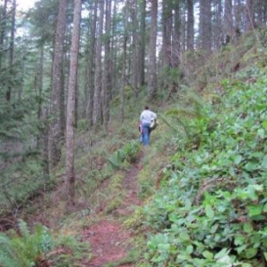 Falls View Canyon Trail #868 (24)