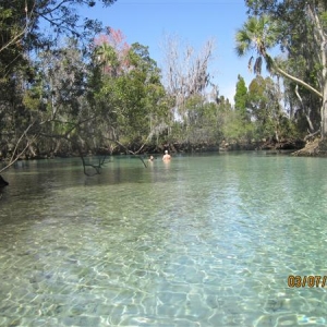 Another shot of the springs