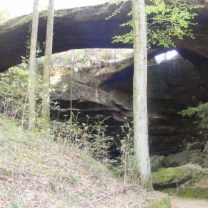 Natural Bridge in Alabama