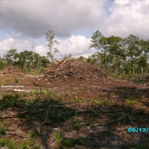 Some piles of brush they had along the way.  Not sure what they were doing.