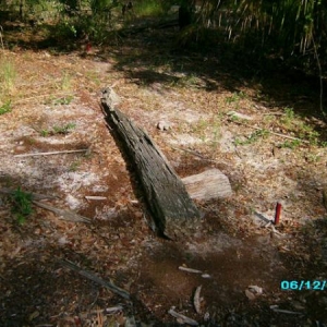 Whats left of the log home at the old Homestead.