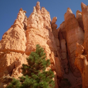 Bryce Canyon NP, Utah, 2008