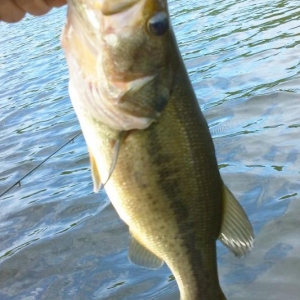 bass