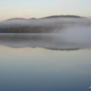 Morning mist