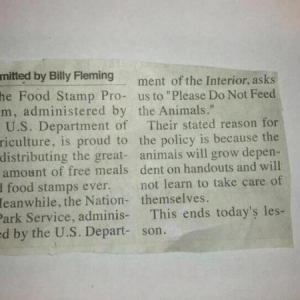 foodstamps