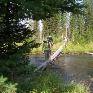 Convenient logs for crossing