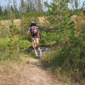 Liz does the two step on the logs