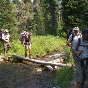 Some streams were easier to cross