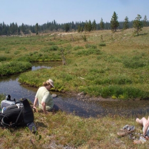 Woodswoman and Foggy find a nice cool foot bath