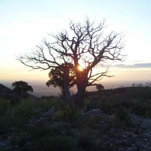 Mountain top morning