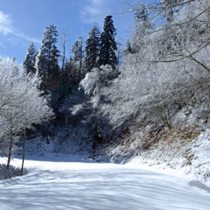 Clingman Dome Road