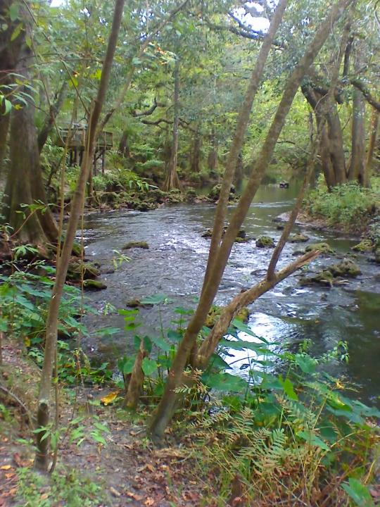 10 05 08 1504 Florida rapids