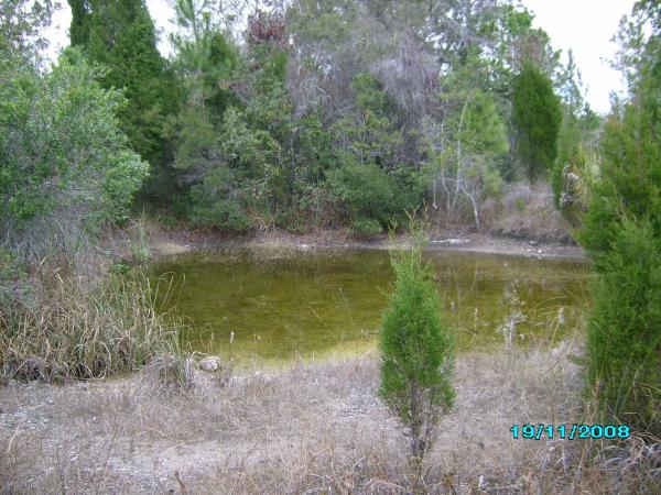 Another pond along the path