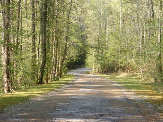 Entrance to Natural Bridge park