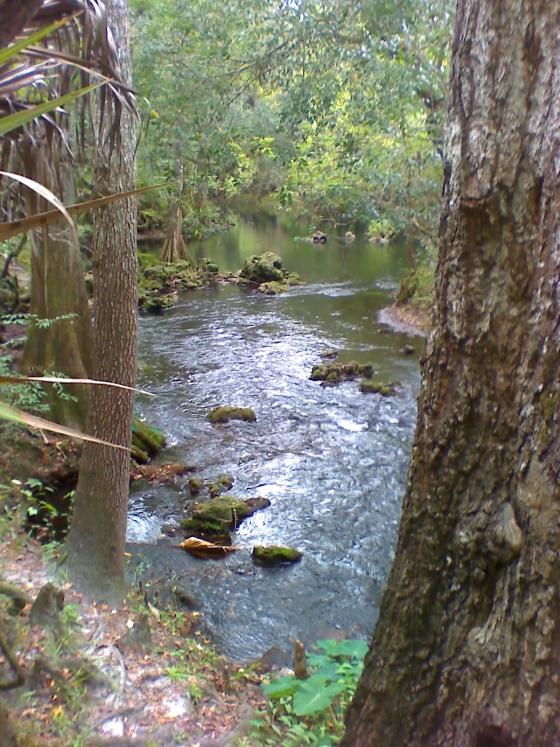 Florida rapids