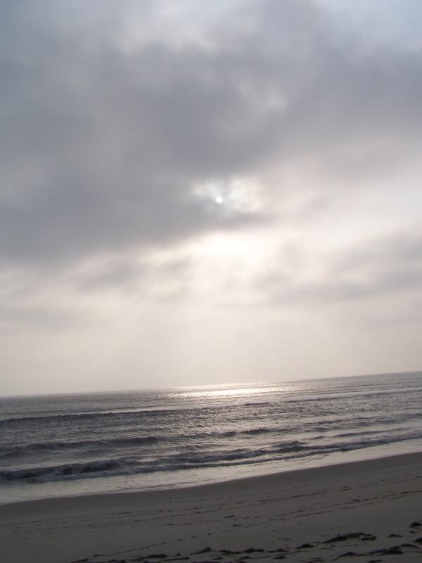 Morning on the Beach