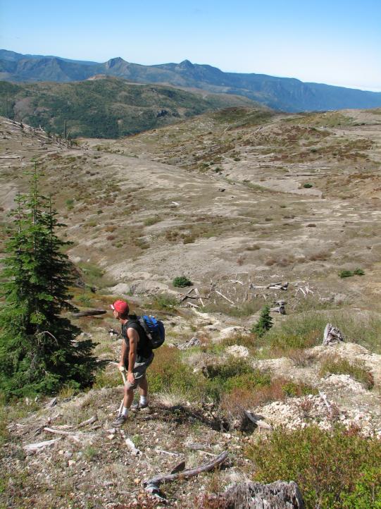 mt st helens national park