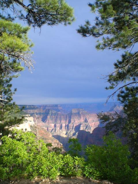 scenic lookout from Widforss Trail North Rim Grand Canyon 2009
Natures Framed picture