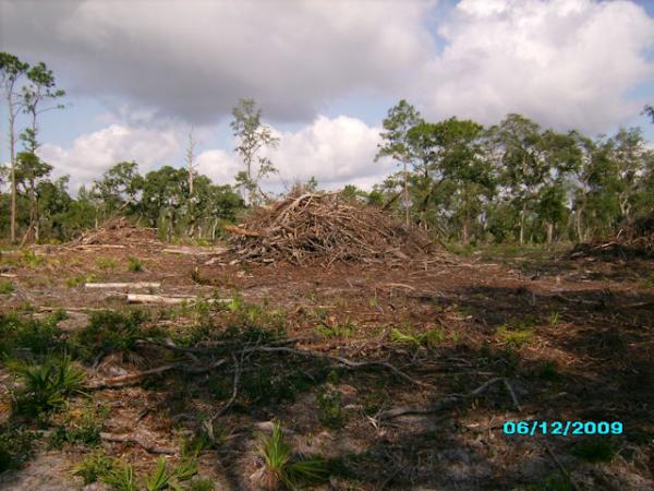 Some piles of brush they had along the way.  Not sure what they were doing.