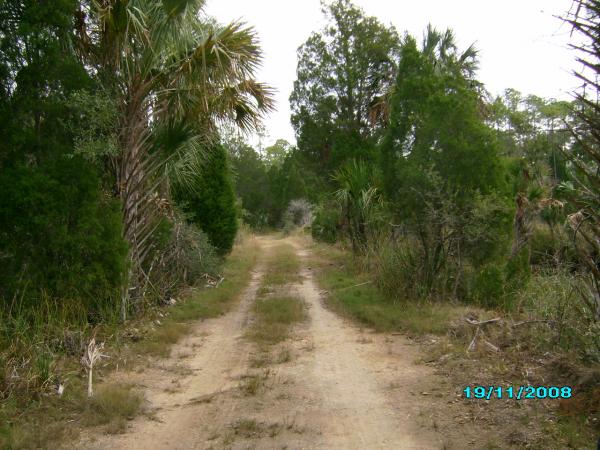 The bike trail