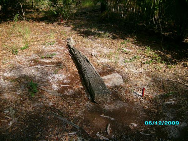 Whats left of the log home at the old Homestead.