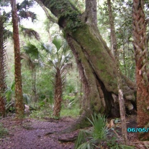 J B Starkey Wilderness Park