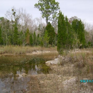 a pond along the path