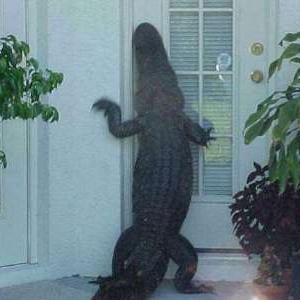 Always lock your door in Florida.