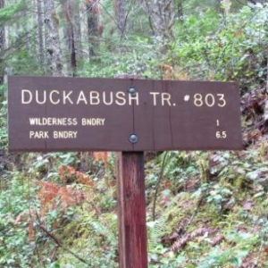 Duckabush River Trail #803