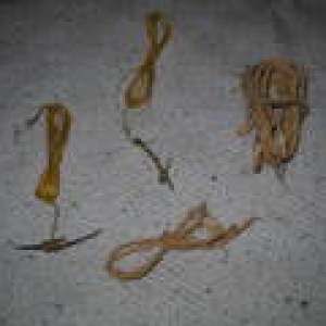 primitive hooks and cordage