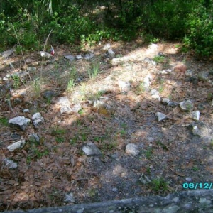 Grave site at the old Homestead.