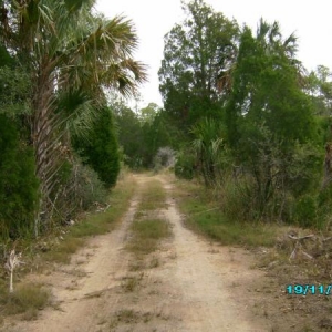 The bike trail