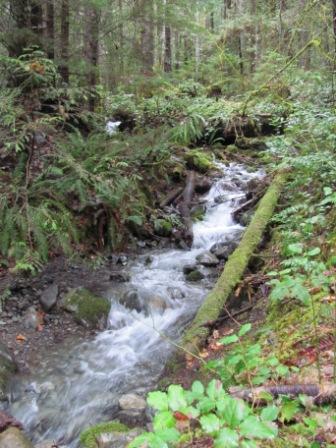 Duckabush River Trail #803 (16)
