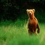 Alaska - Kayak Island State Marine Park