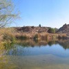 Arizona - Boyce Thompson Arboretum State Park