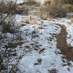 Arizona - Oracle State Park