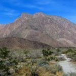 California - Anza-Borrego Desert State Park