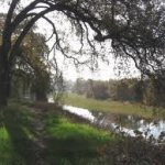 California - Bidwell-Sacramento River State Park