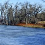 Colorado – Barr Lake State Park